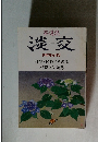 淡交　1997年6月号
