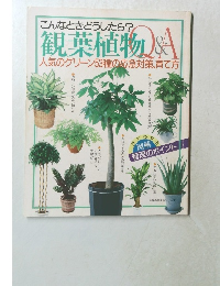 観葉植物 Q&A