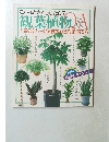 観葉植物 Q&A