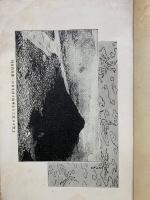 岐阜金華山史
