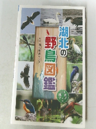 湖北の野鳥図鑑