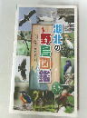 湖北の野鳥図鑑