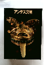 アンデス文明
