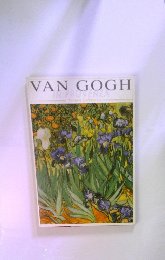VAN GOGH IN PROVENZA