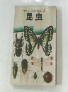 ポケット科学図鑑 2  昆虫