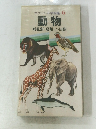 ポケット科学図鑑 6  動物  哺乳類・鳥類・ハ虫類