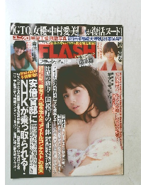 フラッシュ　2015/2.3 No.1317