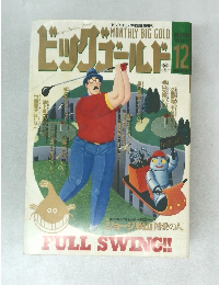 ビッグゴールド 1993年11月17日号