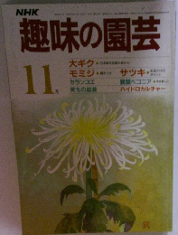 趣味の園芸　11