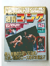 週刊ゴング　480　1993年9月23日号
