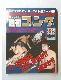 週刊ゴング　1993年3月号