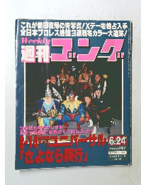 週刊ゴング　467　1993年6月24日号