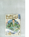 ビッグゴールド 1993年3月17日号