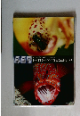 日本自然科学写真協会会報71