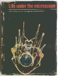 Life under the microscope