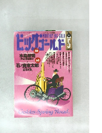 ビッグゴールド　1995－5