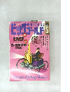 ビッグゴールド　1995－5
