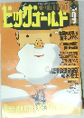 ビッグゴールド　1998－9