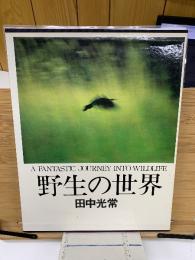 野生の世界