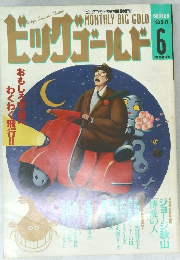 ビックゴールド　1993－5－17