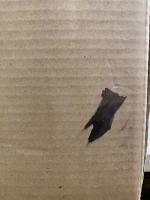 日本名跡叢刊 平安六十選