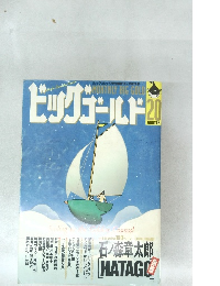 ビッグゴールド　20