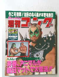 週刊ゴング No.542 1994年12/15号