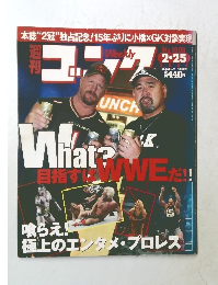 週刊ゴング ２００４年2/25号 No.1008 小橋の魅力