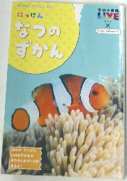 はっけん! なつのずかん