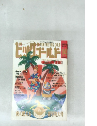 ビッグゴールド 1994　14号
