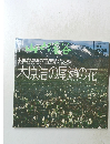 木原浩の尾瀬の花　1994年5月15日発行223号
