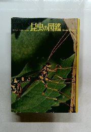 昆虫の図鑑