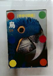 鳥