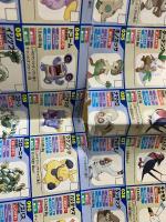 ポケットモンスター ルビー・サファイア ポケモン完全公式図鑑ポスター