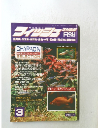 フィッシュマガジン　1996－3