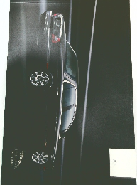 JAGUAR  Born to perform