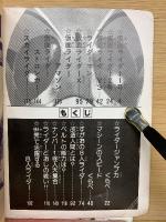 8人ライダー　ひみつ211図鑑