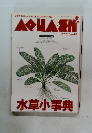 アクアエントゥ　１９９４年秋号　No.8