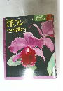 洋ランへの誘い　Geibun Mooks Vol. 34