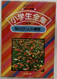 カラー学習　小学生集
