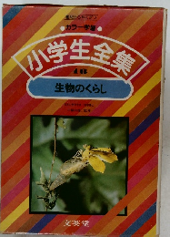 小学生集　16