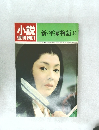 小説 週刊朝日 新・平家物語10
