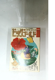 ビッグゴールド　１９９３年５月号