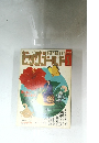 ビッグゴールド　１９９３年５月号
