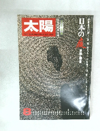 太陽　8