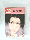 小説　週刊朝日　新・平家物語11