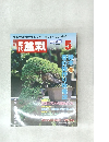 盆栽　2006年5月号