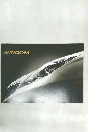 WINDOM