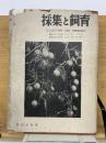採集と飼育　8巻1号