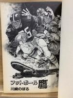 フットボール鷹　ワイド版